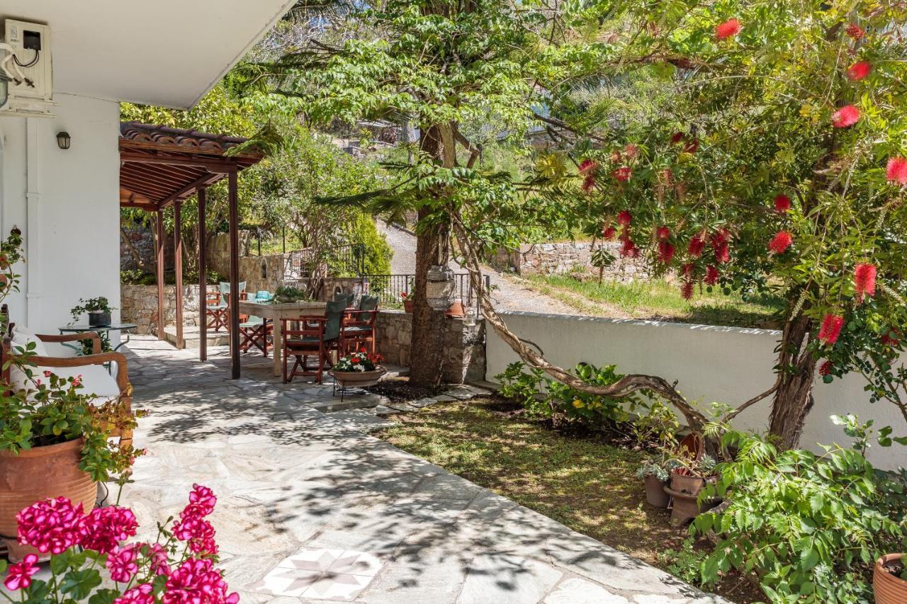 Oikia Guesthouse 斯塔菲罗斯 外观 照片