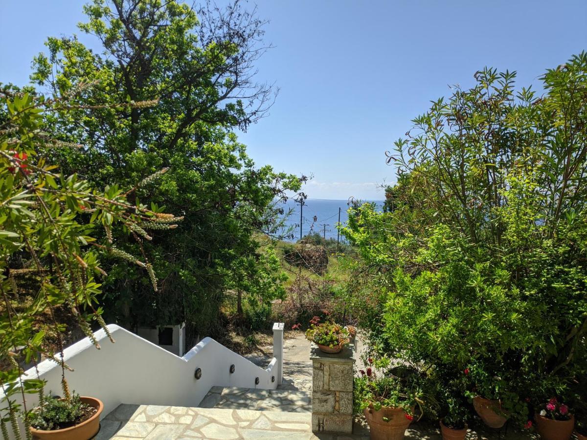 Oikia Guesthouse 斯塔菲罗斯 外观 照片